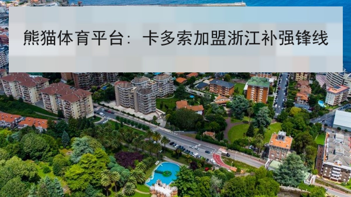 熊猫体育平台: 卡多索加盟浙江补强锋线 熊猫体育平台: 卡多索加盟浙江补强锋线